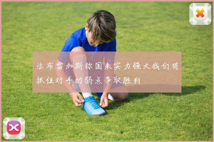 法布雷加斯称国米实力强大我们将抓住对手的弱点争取胜利